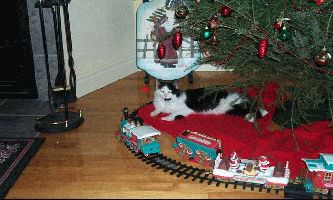 Puzzle Punky