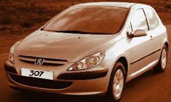 Puzzle 17 - Peugeot 307