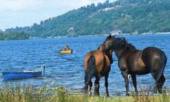 Puzzle 39 - Beau paysage