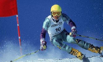 Puzzle Ski