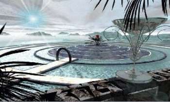 Puzzle 81 - Le bassin