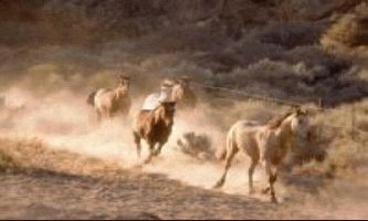 Puzzle Galop