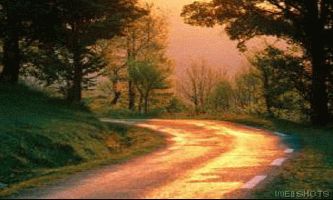 Puzzle Golden road