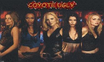 Puzzle Coyote Ugly