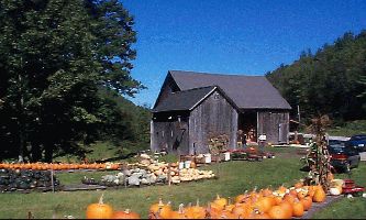 Puzzle Citrouilles