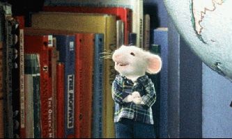Puzzle Stuart Little