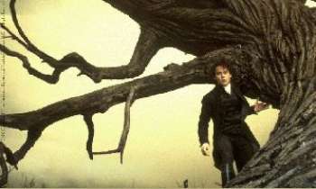 Puzzle 191 - Sleepy Hollow