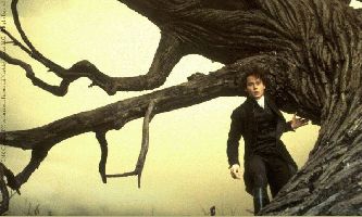 Puzzle Sleepy Hollow
