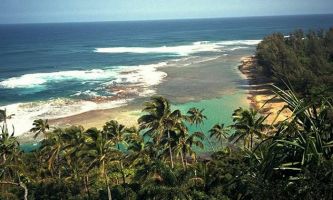 Puzzle Plage & Cocotiers