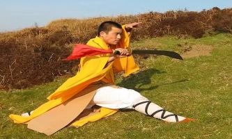 Puzzle Kung Fu