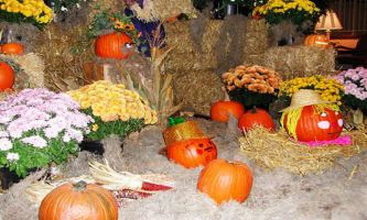 Puzzle Citrouilles en Fête !