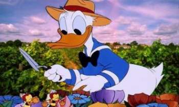 Puzzle 591 - Donald Jardinier