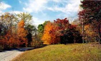 Puzzle 593 - Automne - Kentucky