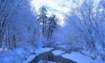 Puzzle 650 - Rivière en Hiver