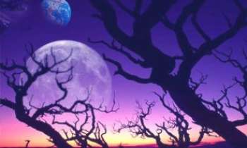 Puzzle 661 - Terre-Lune