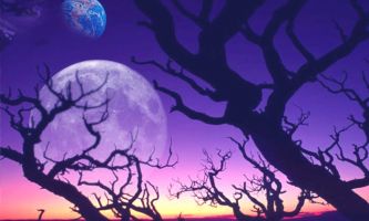 Puzzle Terre-Lune