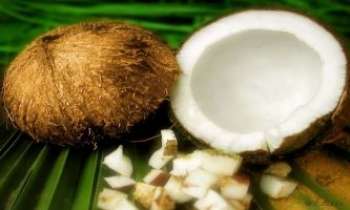 Puzzle 699 - Noix de Coco
