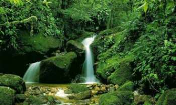 Puzzle 766 - Chute d'eau