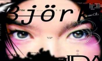 Puzzle 790 - Björk