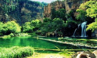 Puzzle Paysage verdoyant