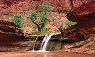 Puzzle Rio Escalante