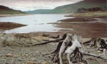Puzzle 853 - Nature Morte