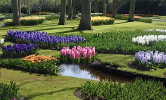 Puzzle Keukenhof Garden