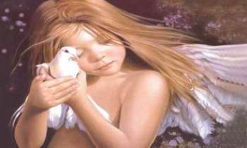 Puzzle 910 - Ange & colombe