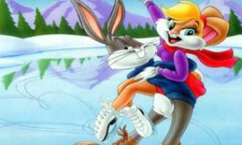 Puzzle 893 - Patin sur glace