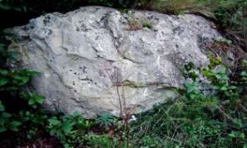 907 | Sculpture naturelle - Quand la nature se fait maître d'oeuvre ...