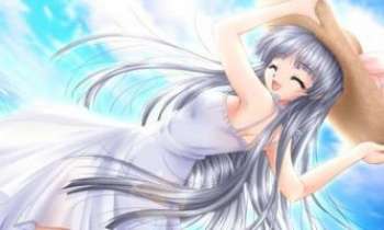 Puzzle 938 - Manga Sommer