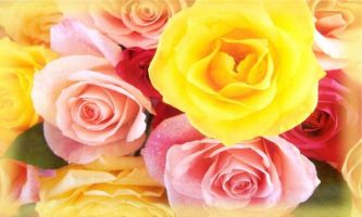 Puzzle Les roses de mon coeur