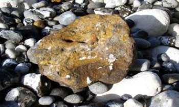Puzzle 954 - Galets de bord de mer