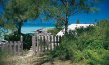 Puzzle 1010 - Jardin - Bermudes