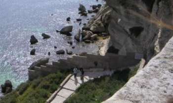 Puzzle 1071 - Falaise
