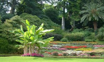 Puzzle Jardin