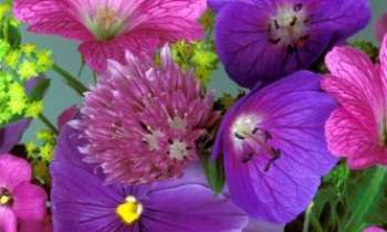 Puzzle 1203 - Bouquet de fleurs