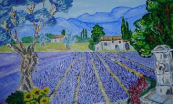Puzzle 1206 - Lavande en Provence