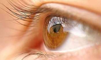 Puzzle 1205 - Le regard...