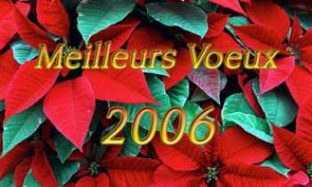 Puzzle 1220 - Jour de l'An
