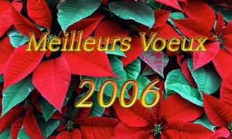 Puzzle Jour de l'An