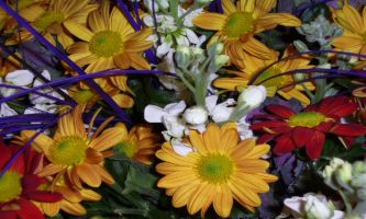 Puzzle Bouquet Composite