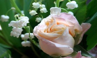 Puzzle Muguet du 1er Mai
