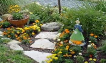 Puzzle 1366 - Jardin de Fée