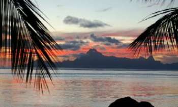 Puzzle 1471 - Ile de Moorea