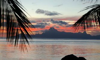 Puzzle Ile de Moorea