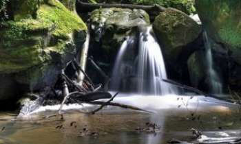 Puzzle 1796 - Mullerthal-Luxembourg