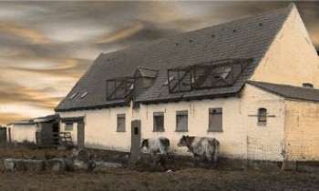 Puzzle 1801 - La Ferme