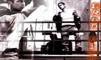 Puzzle 1820 - L'acteur Brad Pitt