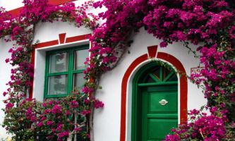 Puzzle Grande Canarie